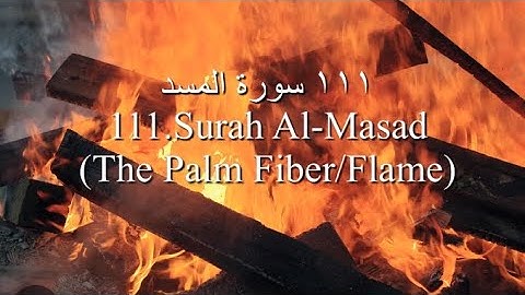 Surah Al-Masad (The Palm Fiber/Flame)| Noreen Muhammad Siddiq | سورة المسد القارئ نورين محمد صديق