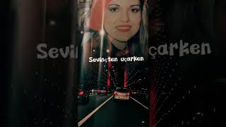 Sevmez Olaydım Resimi