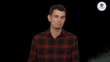 Lập trình Android - Bài 5 | CS50 Tracks 2019 Đại học Harvard | Song Ngữ by The Compiler Việt Nam