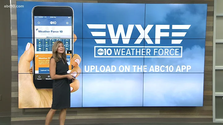 Monica Woods tells you what to expect this week in...