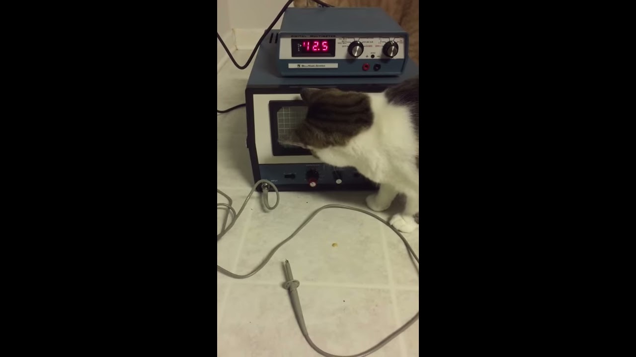 Bell And Howell School Oscilloscope Test