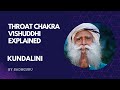 Sadhguru explained throat chakra  vishuddhi the power of blue