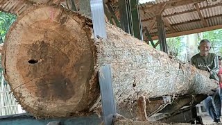 Amazing sawing skills! the process of turning logs into folded money at the sawmill