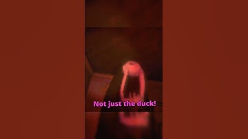 Not Just The Duck... #repo