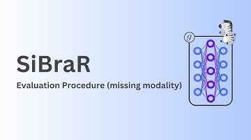 SiBraR | A Single-Branch Multimodal Recommender System | Evaluation for cold-start/missing modality