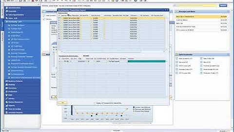 SERIAL BATCH NUMBERS IN SAP BUSINESS ONE