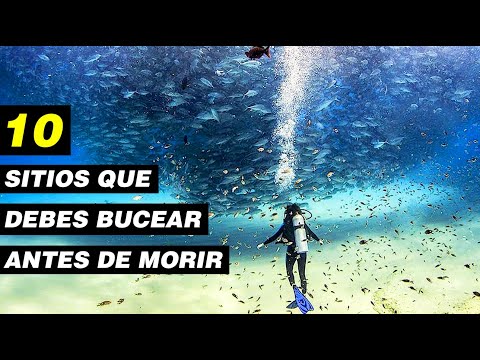 Vídeo: 10 Lugares Para Bucear Con Peces Grandes - Matador Network