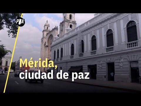 Vídeo: ¿Crees Que Una Ciudad Es 