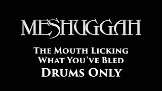 Meshuggah The Mouth Licking What You've Bled DRUMS ONLY