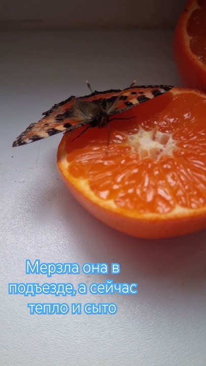 Мир очень интересный🤩. Можно увидеть красоту во всем. Вы замечаете ...