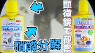 【水質調整剤】硝酸とリン酸を分解して水換えのいらない水にする新作。要求量が少なく週に1度入れるだけで良い！スペクトラムブランズジャパン テトラ水リサイクル、テトラナイトレイトマイナス【ふぶきテトラ】