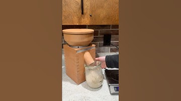 Day 4 of Starting a Freshly Milled Flour Sourdough Starter #freshlymilledflour
