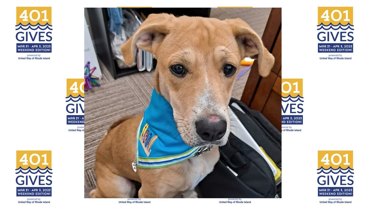 ARRI's 2023 401Gives Goal