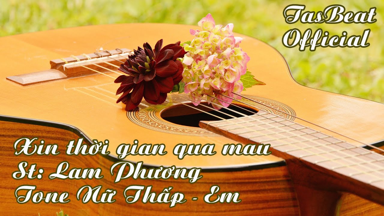 Karaoke Xin Thời Gian Qua Mau - Tone Nữ Thấp | TAS BEAT
