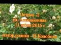 Остров- 2  ул.  Авиационная