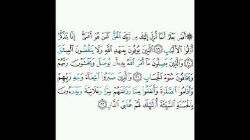 13 - سورة الرعد ١٩-٢٢ - محمد المحيسني