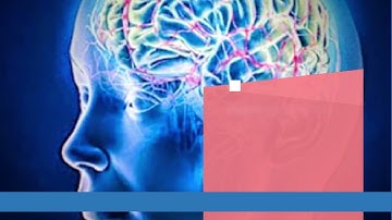 The Secrets of Human Memory How Our Brains Store and Retrieve Information