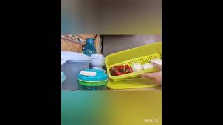 Tupperware Arrocera Balance