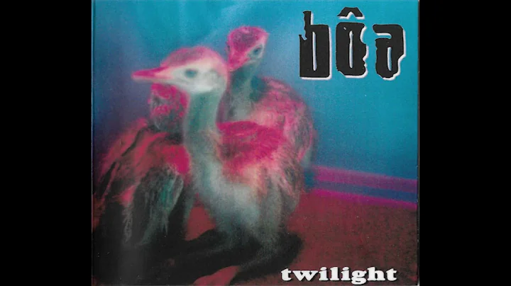 duvet hoodtrap - prodwhite remix