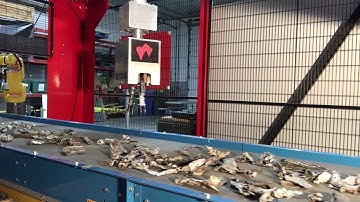 Waste Robotics metal detection & robotic sorting -Beta version