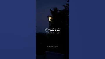 وَأَشْرَقَتِ الْأَرْضُ بِنُورِ رَبِّهَا | محمد أيوب | سورة الزمر