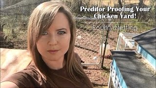 Poultry Netting , Predator Proofing Your Chicken Yard