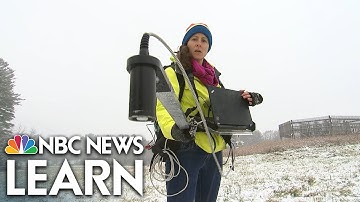 Above the Forest Canopy