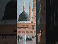 ليتك معنا يا رسول الله
