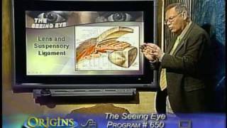 Famous God or Evolution? Look at the human eye  & decide for yourself! Wealth