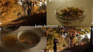 Late Autumn | Cinematic Cottagecore | Forest Walk & Miso Soup & Kiwi Walnut Yogurt | Slow Living