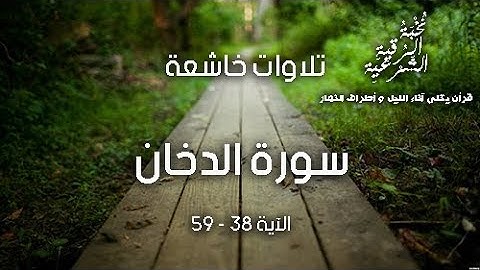 سورة الدخان - الآية ( 38 - 59 ) بصوت رائع - تلاوات خاشعة
