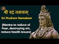     sri rudram namakam with sanskrit lyrics  powerful mantra  mantra mahodadhi