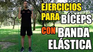 OMERIL Bandas Elasticas Musculacion,  Bandas elásticas, Musculacion,  Elástico