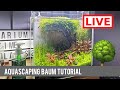 Wir bauen einen Baum für ein Aquascape! Livestream