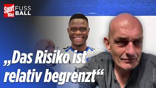Full Speed on the Transfer Market: New HSV Striker Has Arrived! | My Club