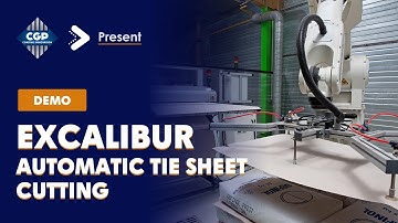 STABULON  Automatic palletizer EXCALIBUR SLIPSHEET CUTTING MACHINE