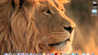 Mac OS X Lion: Launchpad