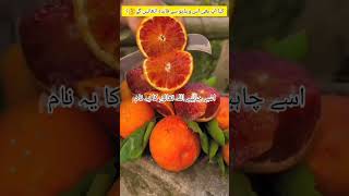 Allah name wazifa wazifa shorts trending shortsfeed