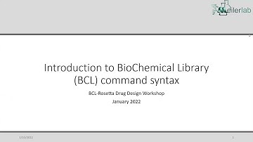 BCL Workshop Day1 Tutorial 1