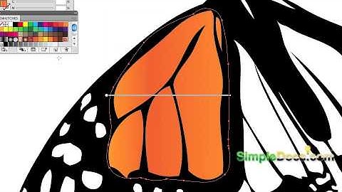 Using the Blob Brush Tool illustrator CS4 - Butterfly