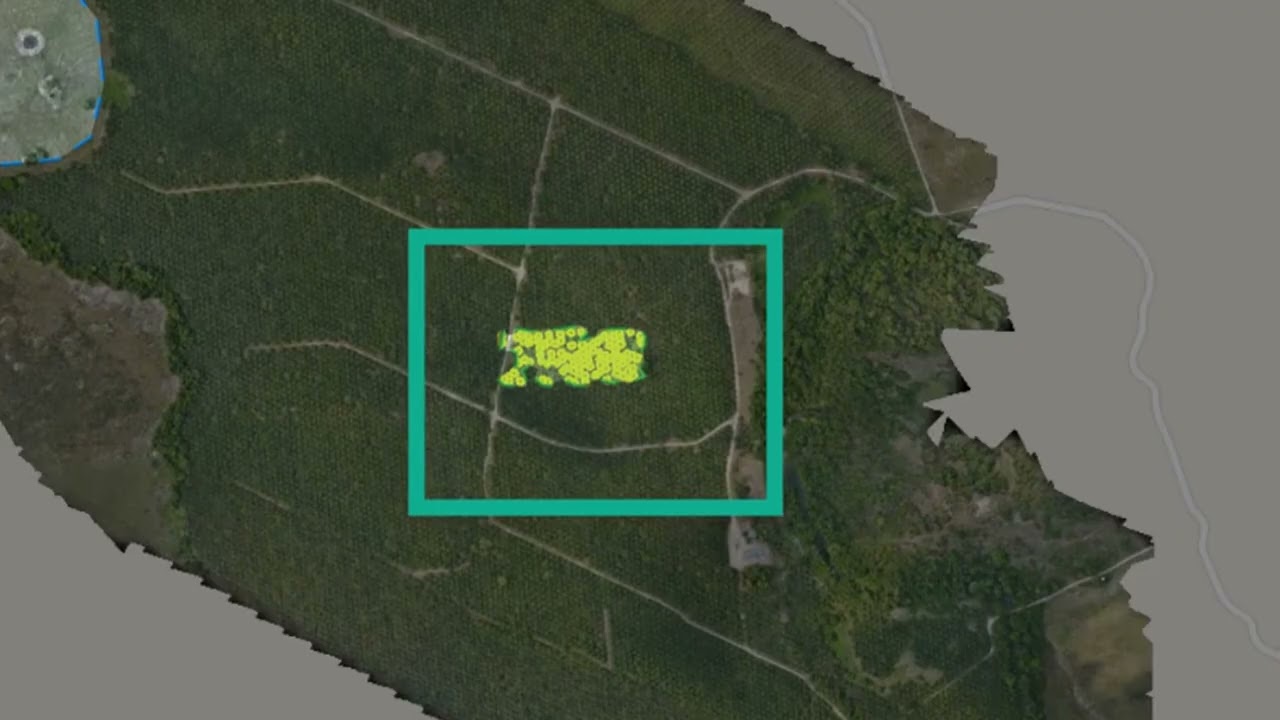 FlyPix AI Tutorial: Training a Geospatial AI Model | Step-by-Step Guide