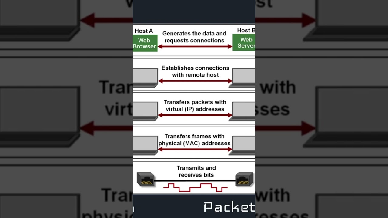 TCP/IP Network Model