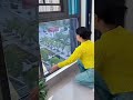 Sunscreen and privacy film for windows. #window sun protection and heatInsulation #windowfilms
