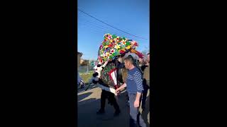 Datini si obiceiuri: Festivalul de tradiții de anul nou din Belcesti în 2024