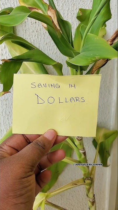 How To Save Money In Dollars In Nigeria YouTube how-to-save-money-in-dollars-in-nigeria-youtube