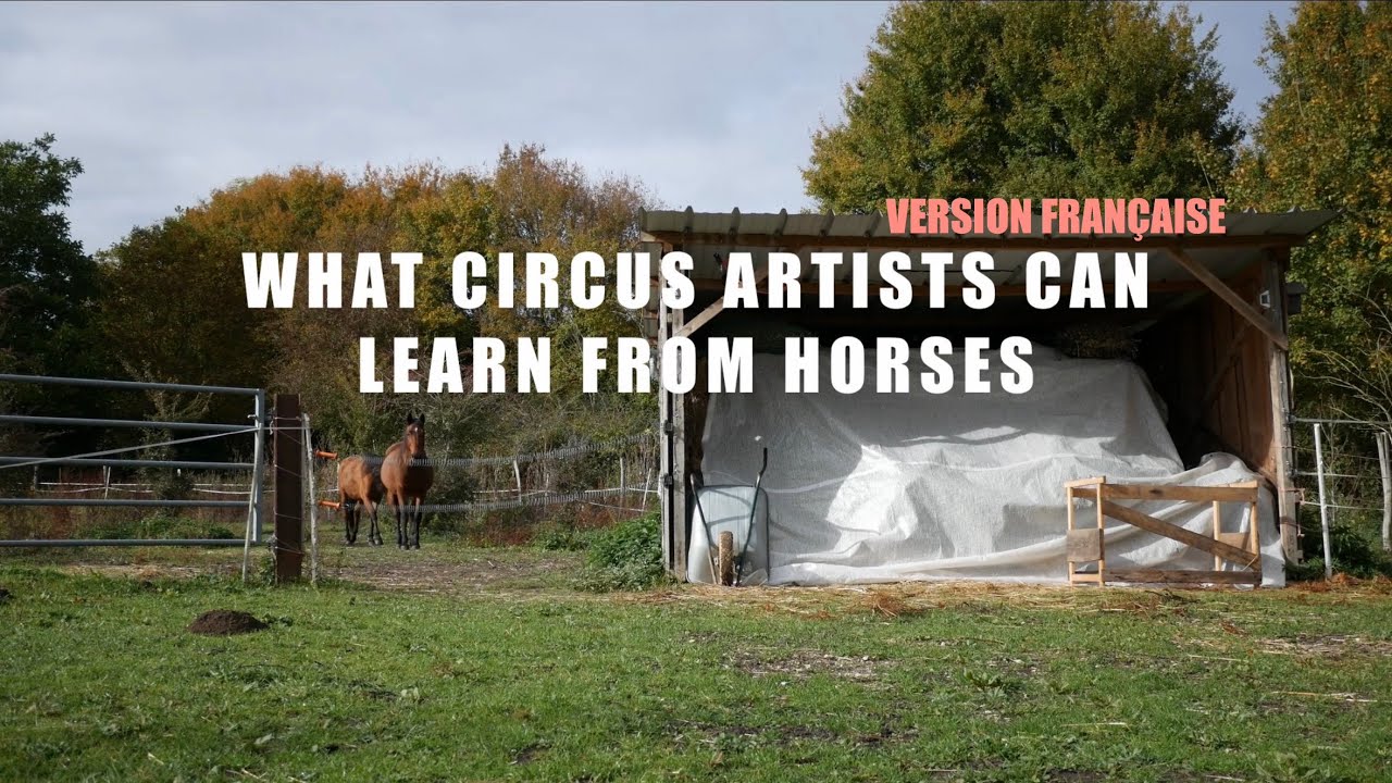 What Circus Artists Can Learn From Horses [FR] – réalisé par Lise Beaumard