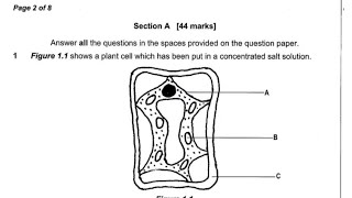 2011 Biology Paper 2 Question 1 fully answered