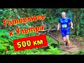 Моя тренировочная неделя. Готовлюсь к ультра в 500 км.