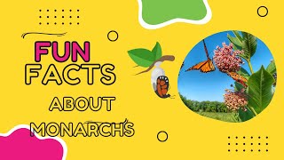 Fluttering Fun 5 Cool Facts About Monarch Butterflies!