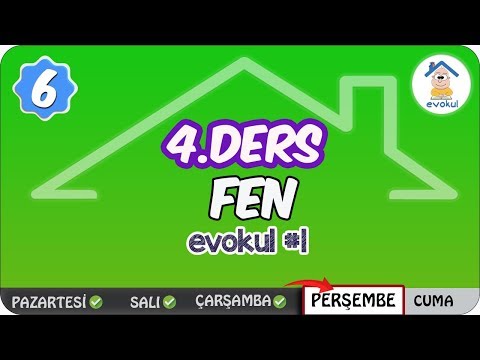 Yakıtlar ve Enerji | 6. Sınıf #evokul Kampı